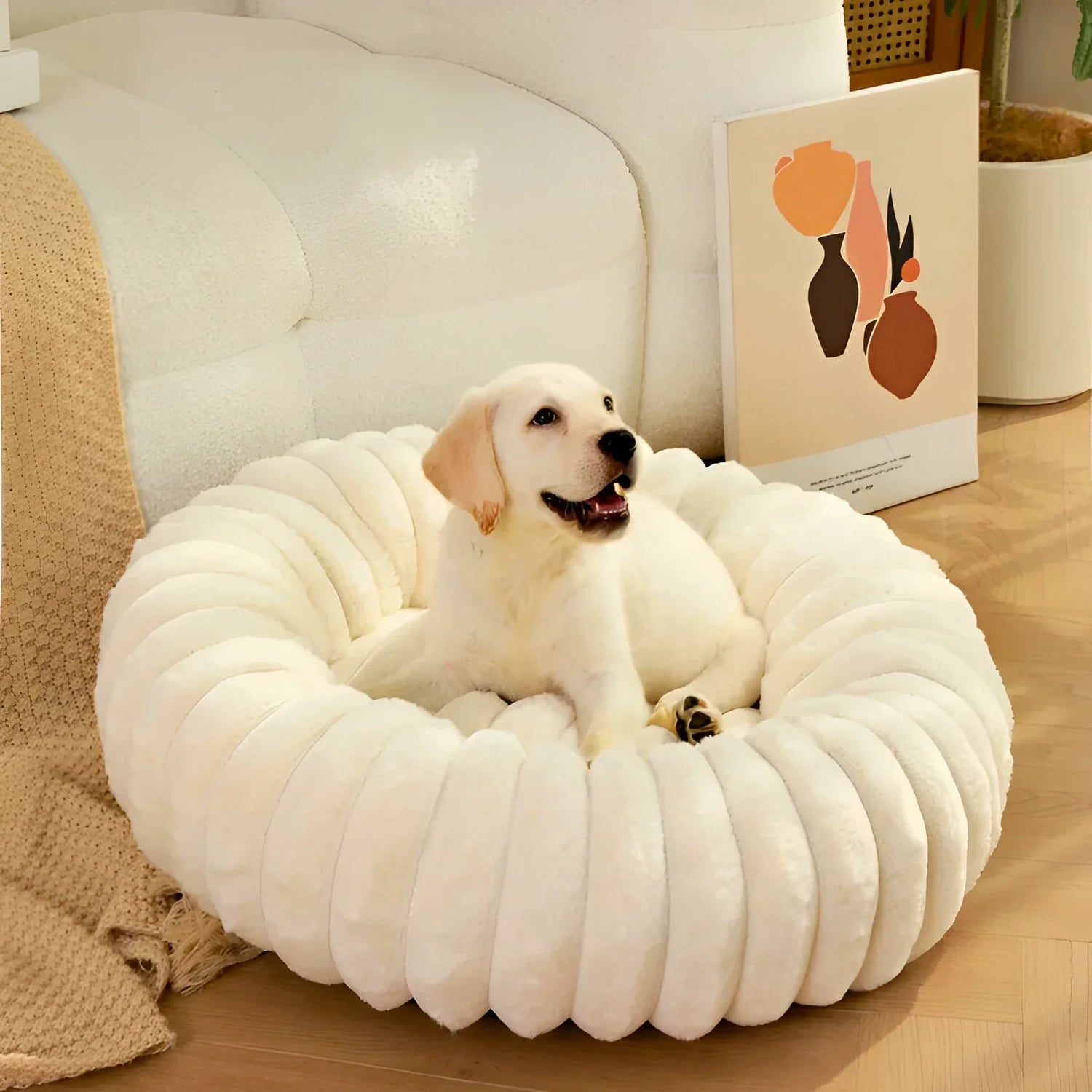 Beds & Comfort
